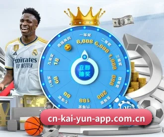 开云 APP 深度功能 | Kaiyun