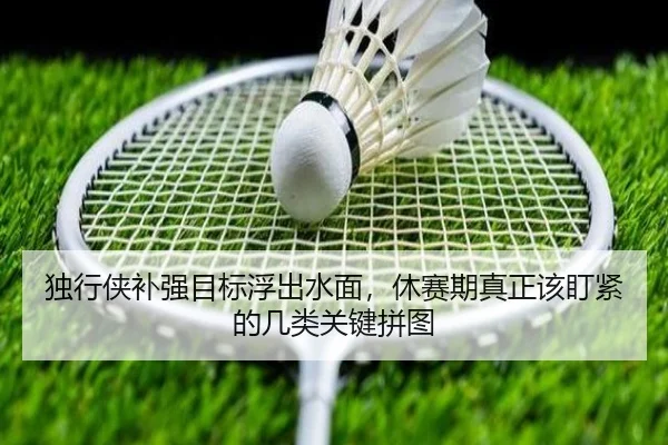 独行侠补强目标浮出水面，休赛期真正该盯紧的几类关键拼图（Kaiyun）